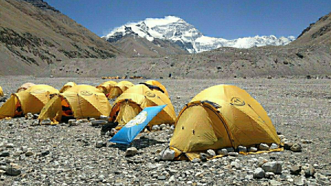    Фото: IanToothill/ twitter.com/Globallookpress