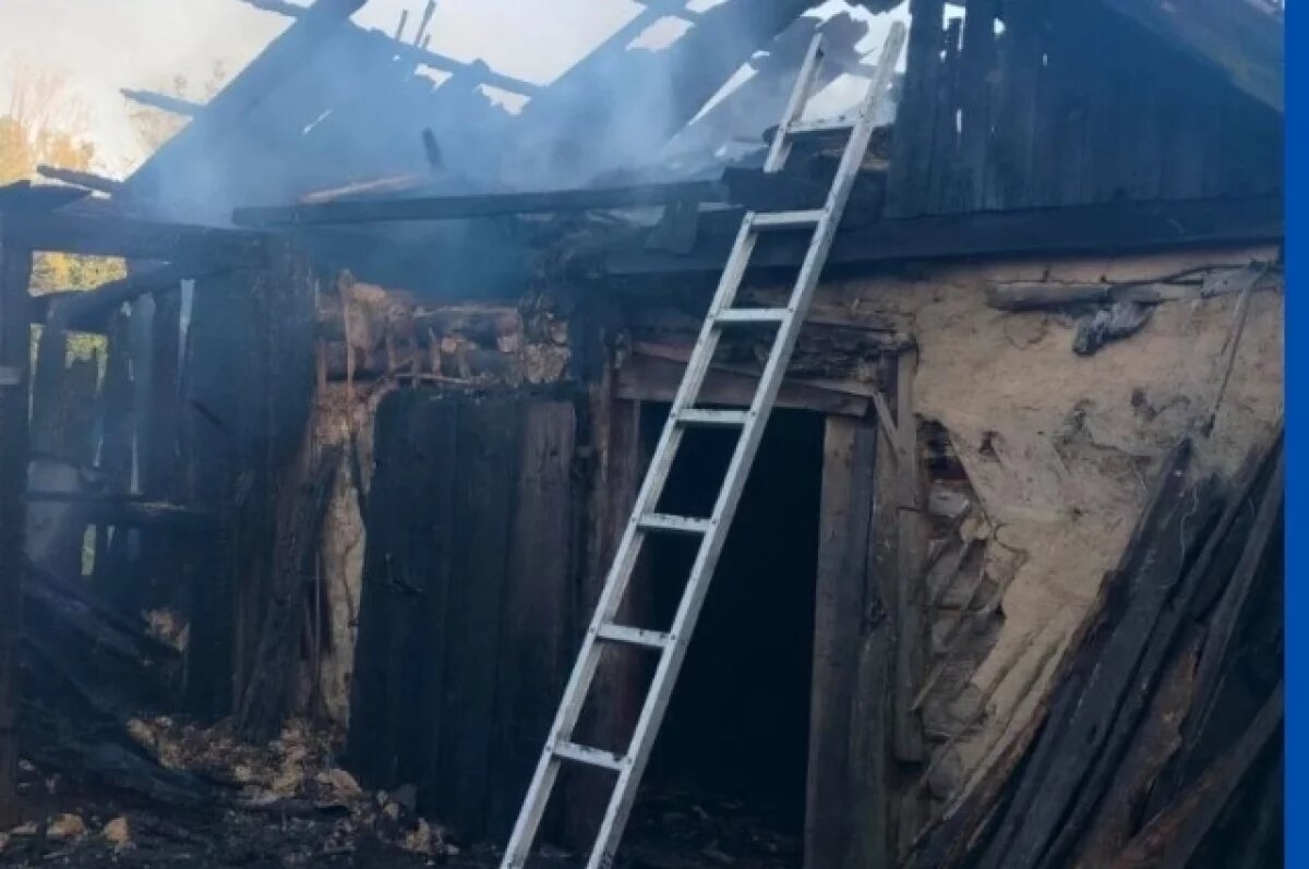    В Радищевском районе на пожаре пострадал молодой мужчина