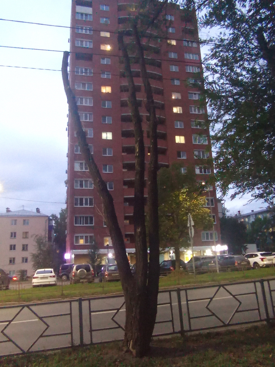 Фото автора: Топинг