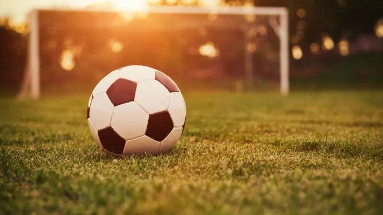    Фото: Gelner Tivadars/Shutterstock/Fotodom