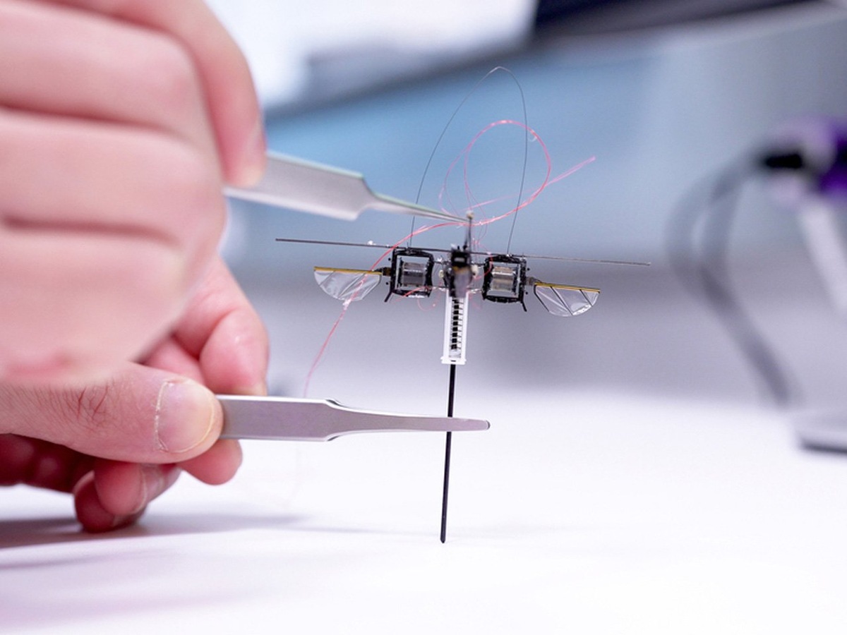 Фото: Yankodesign