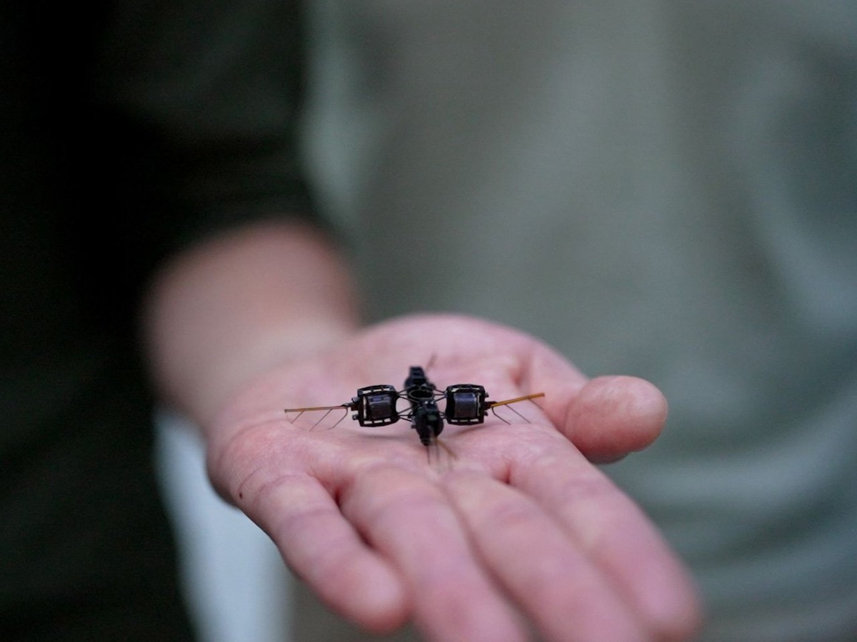 Фото: Yankodesign