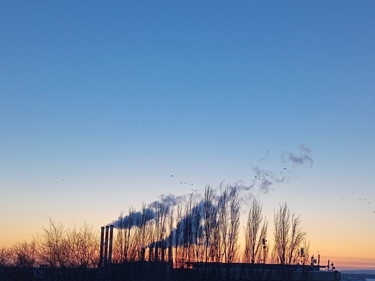    Фото из архива Progorod