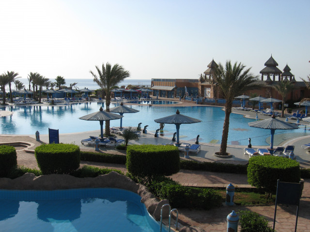    Фото: Елена Костюченкова