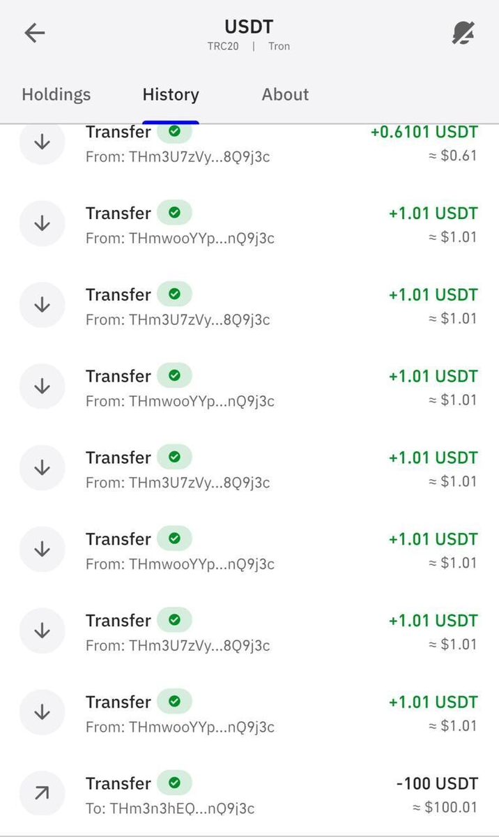 Скриншот из iOS приложения Trust Wallet. После тест транзакции 100 USDT мы получили множество спам-транзакций в которых начало и конец адреса совпадает.