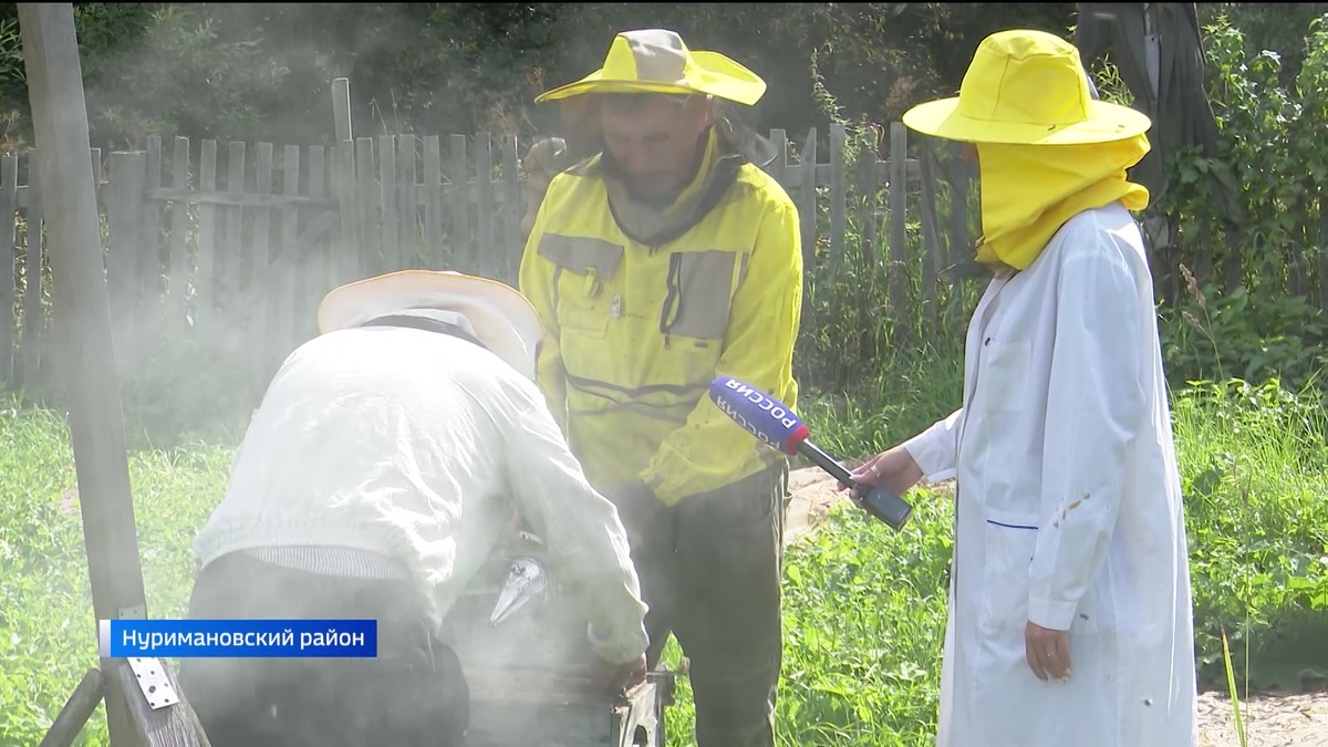    Сертификаты на обучение и средства на бизнес: как в Башкирии помогают участникам и ветеранам СВО