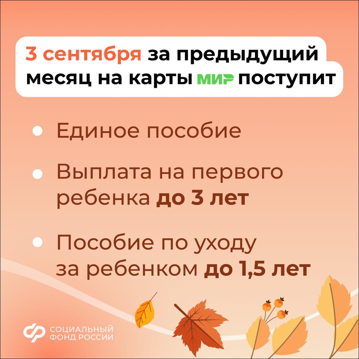 3, 5 и 8 сентября – дни зачисления выплат семьям с детьми на карты и счета