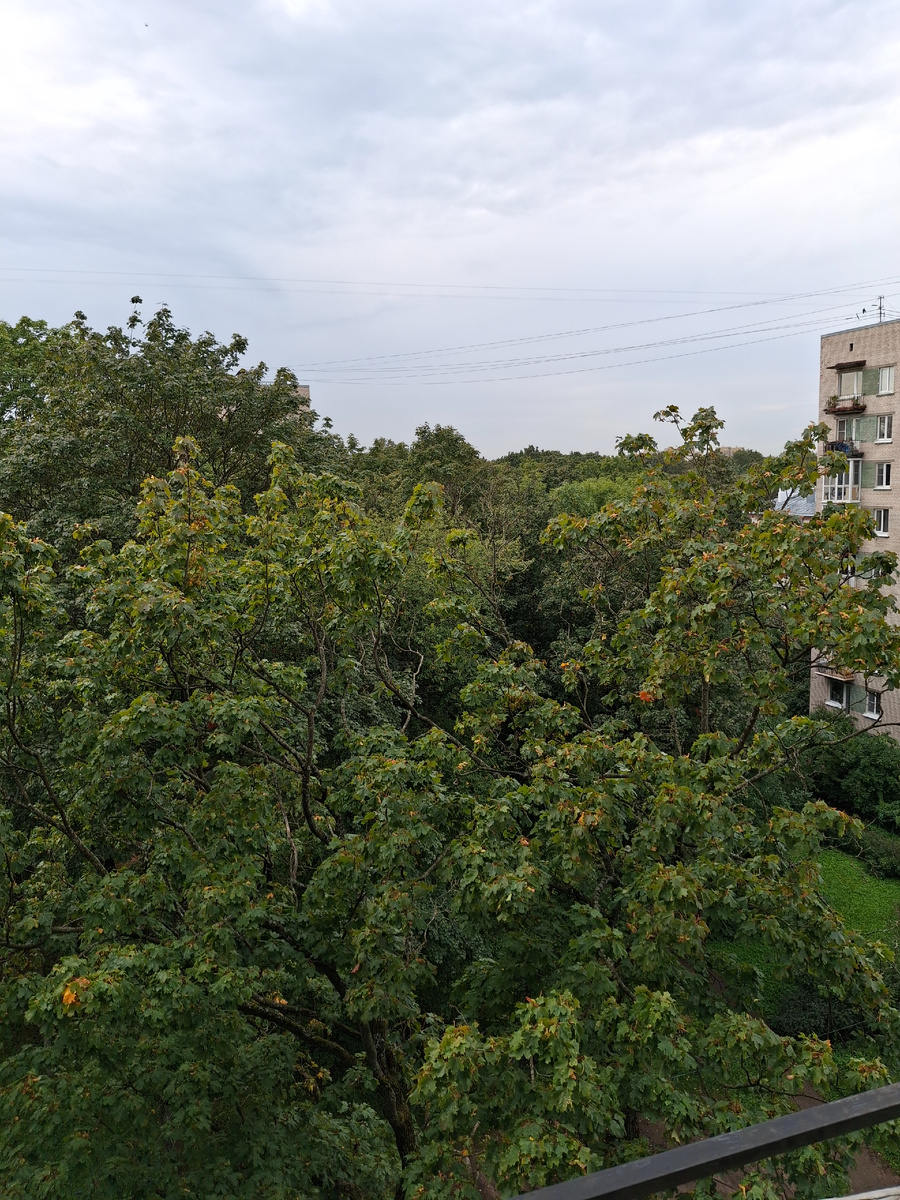 Фото автора. Сегодня, правда, запасмурнело что-то с утра, но тепло.