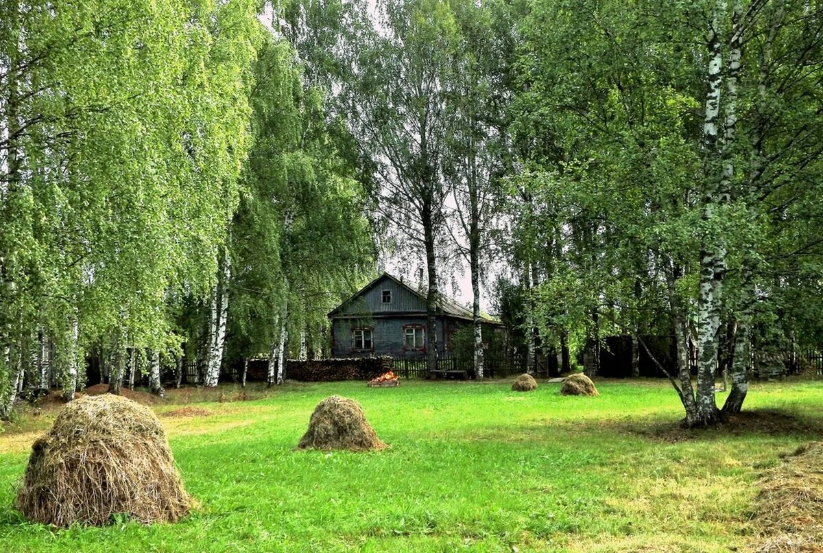 Источник фото: https://ok.ru/group/63756246253623/album/964023397943/965381155127 