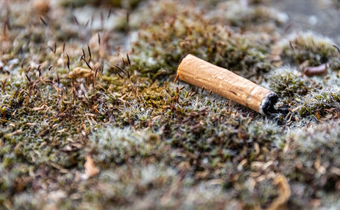 Фото: ru.freepik.com