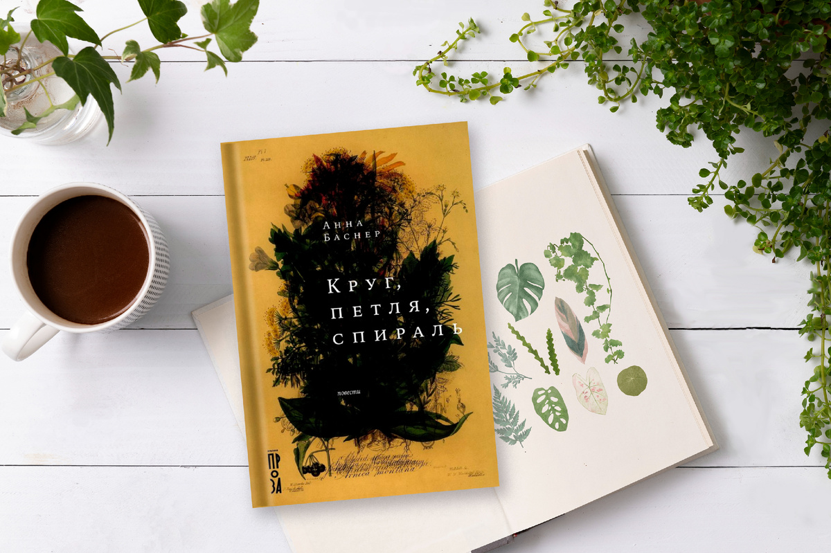 Твердая обложка, 382 стр., издательство Альпина