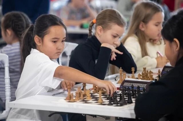    Что за соревнования для юных шахматистов прошли в августе в Волгограде?