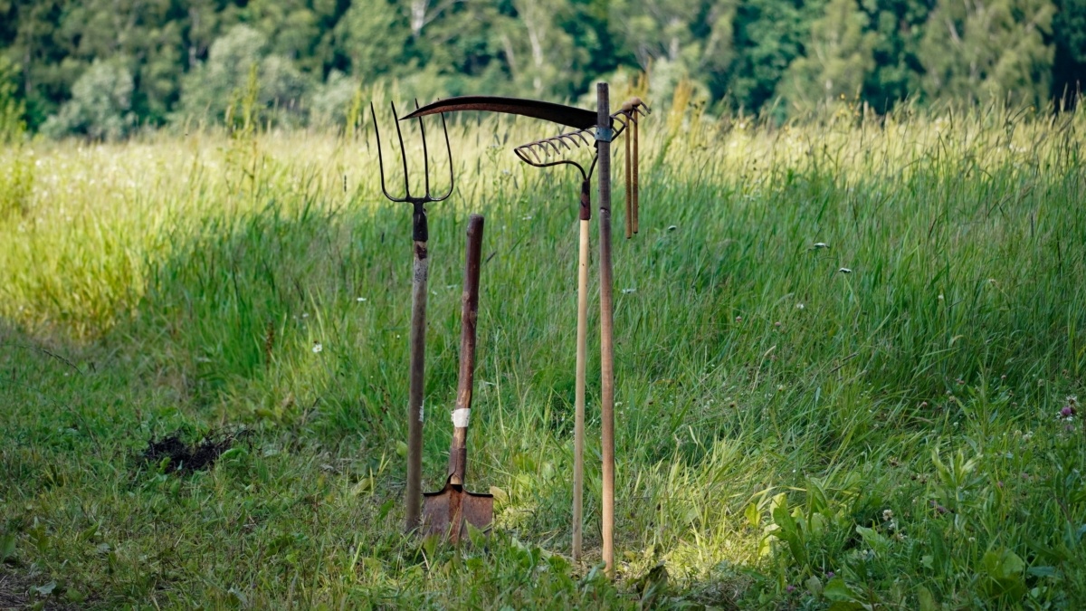 Светлана Мулыкина📷
