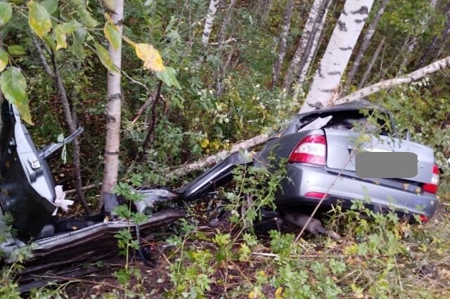    Автомобиль скатился с дороги и врезался в берёзу. Фото: Госавтоинспекция по Кировской области