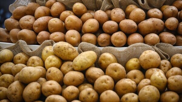    © Sputnik / Владимир Астапкович