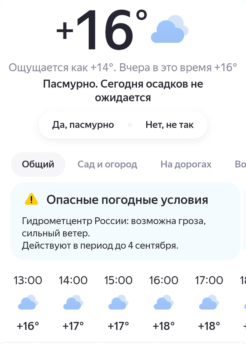 Погода ещё эта серая. Скрин приложения