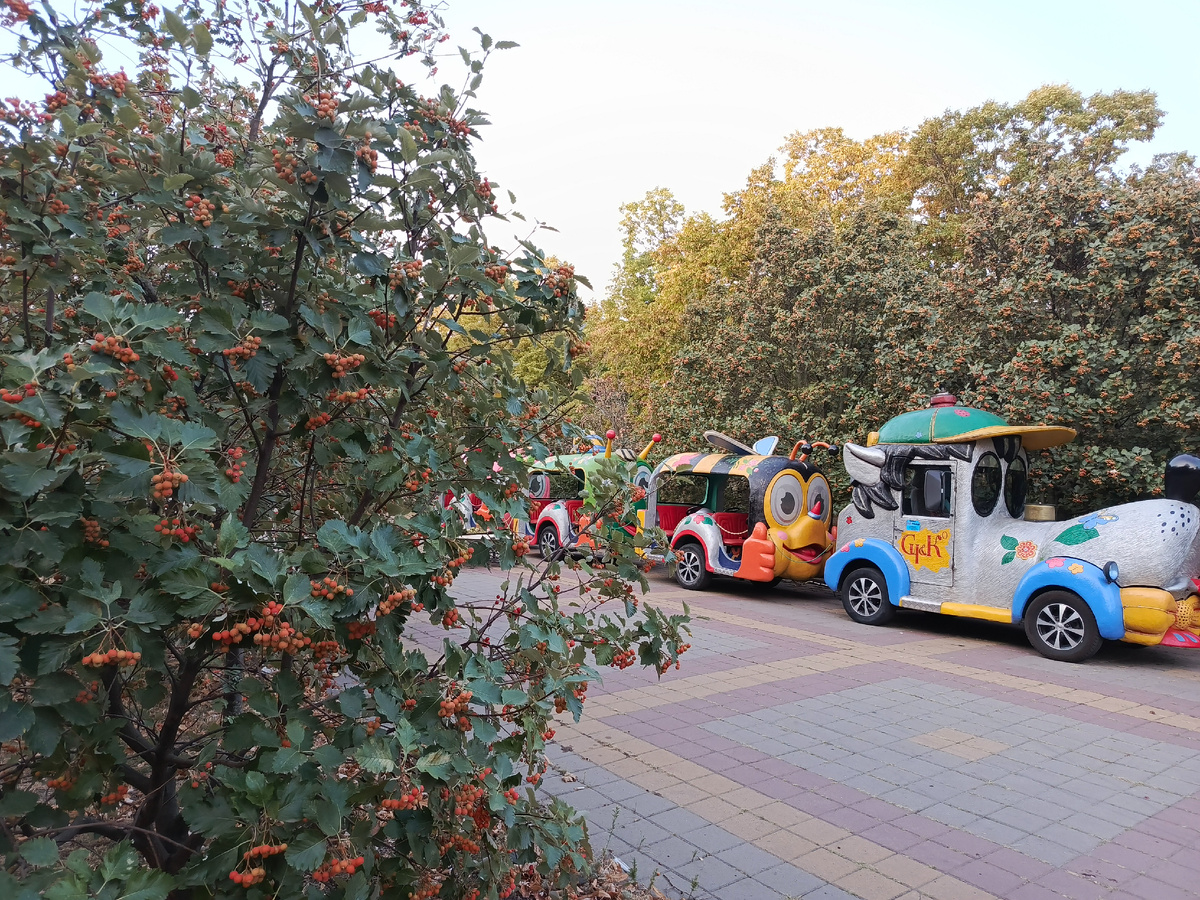 "Ну - погоди! Вот настанет 3 сентября...!" 😂