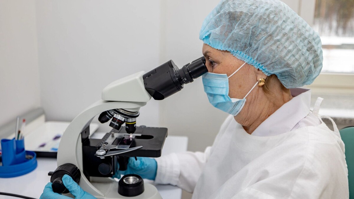    Фото: Юрий Здебский / «Ямал-Медиа»