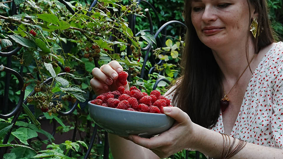 Как правильно посадить малину осенью: 5 секретов агрономов