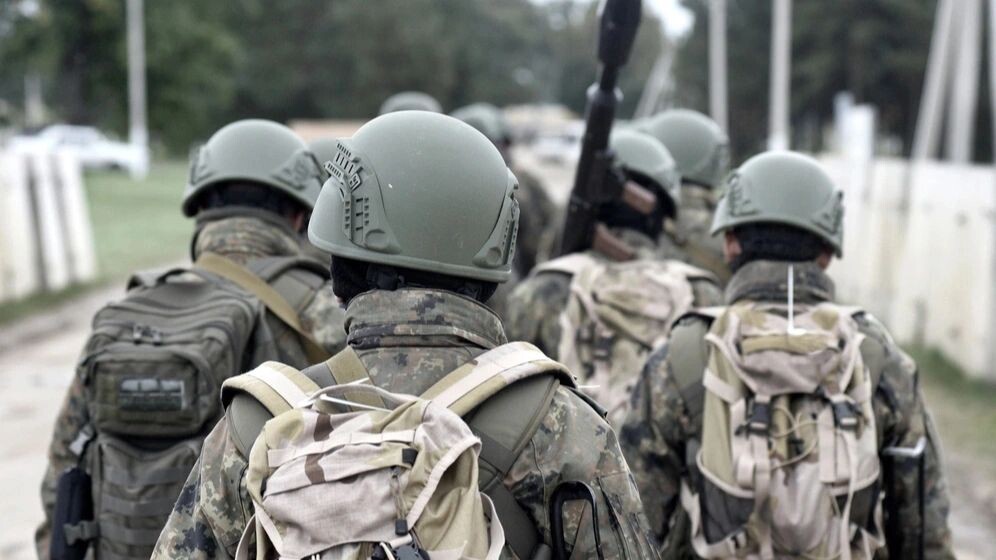    Фото: Bumble Dee/Shutterstock/Fotodom