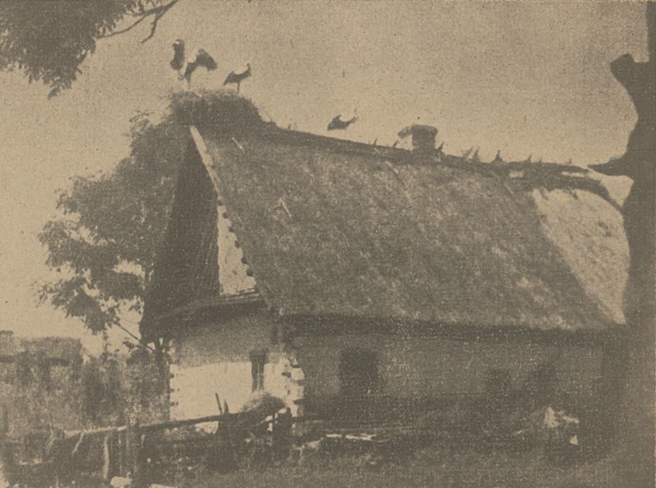 Дом в с. Кортелисы. 1939. Watte Z. Kortelisy, zagubione sioło // Ziemia Wołyńska. — 1939. — Nr 2. — S. 27.