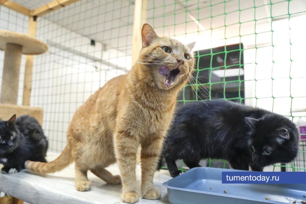  Фото Екатерины Христозовой