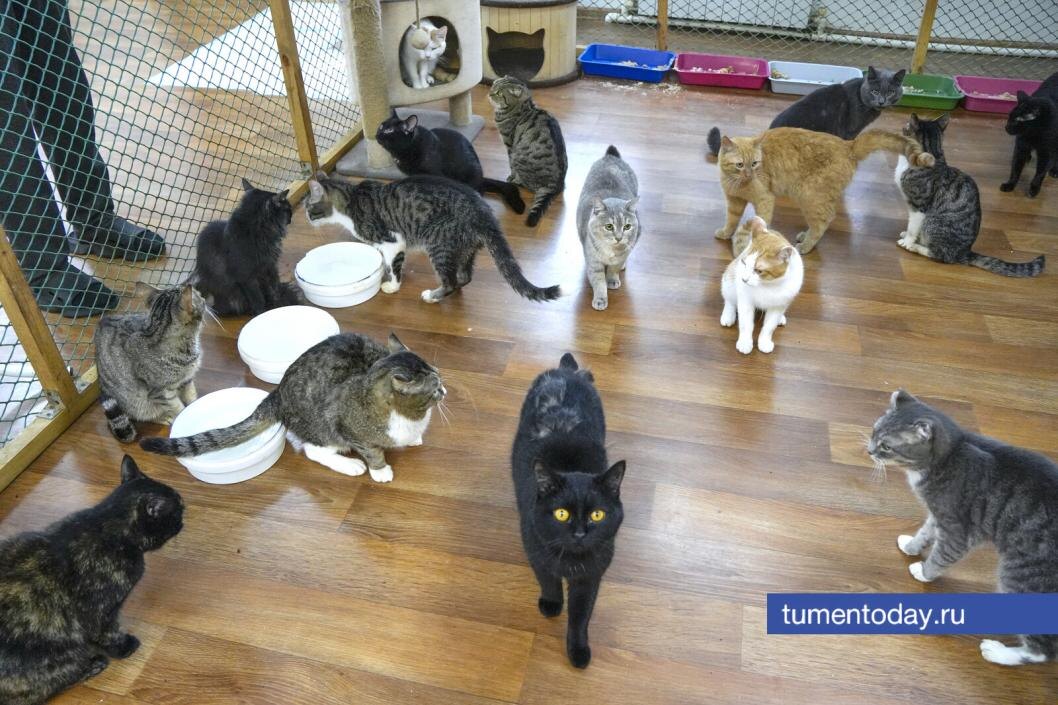 Фото Екатерины Христозовой