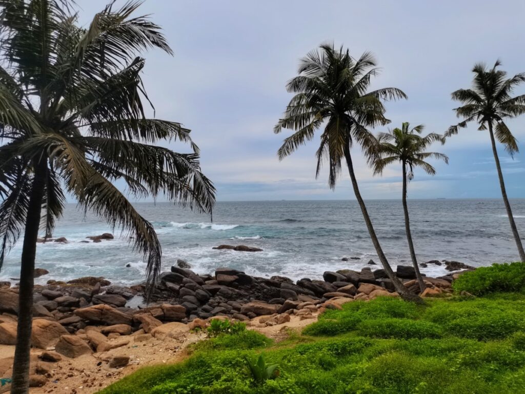    Фото: smolnarod.ru