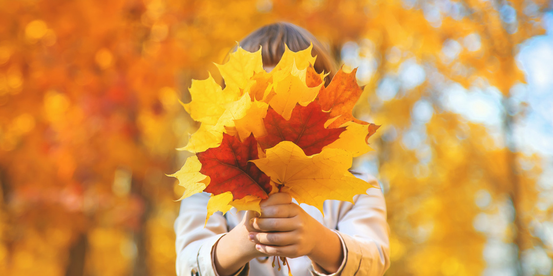 Какой будет осень 2025 года: прогнозы погоды в России и не только