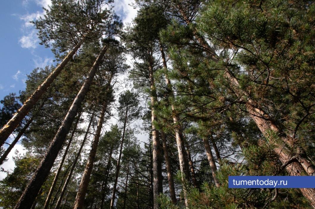  Фото Сергея Куликова