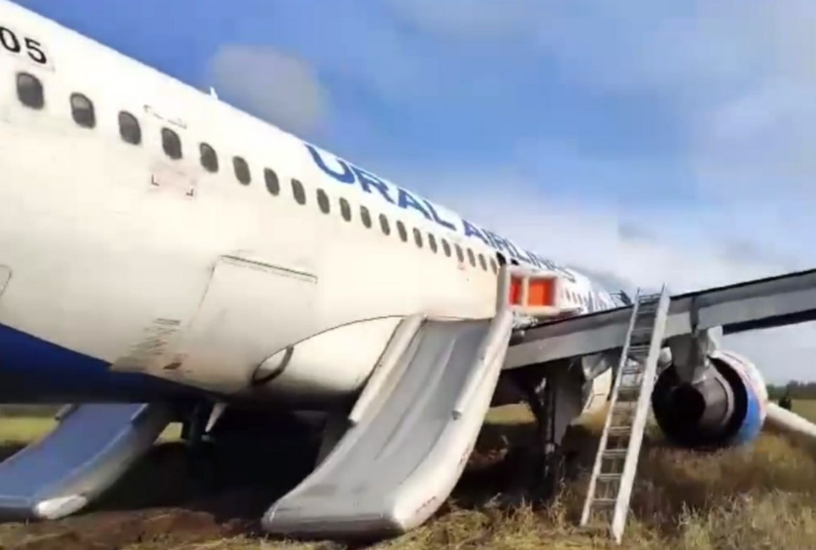 Фото: Globallookpress.com