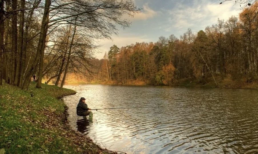 Тихая охота: почему сентябрьская рыбалка — это лучшая медитация