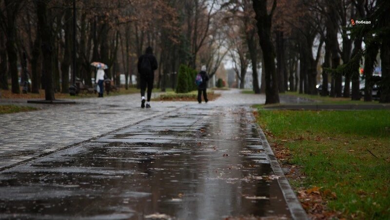      Фото: ИА «Победа26»