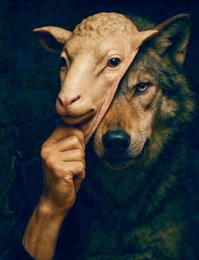 Источник: Pinterest.com