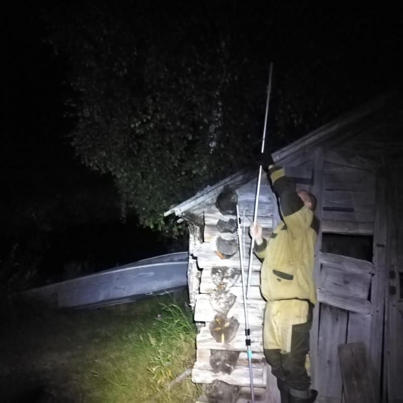    Ученые пересчитали летучих мышей в нацпарке КарелииНациональный парк «Водлозерский» / ВК