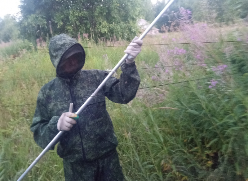    Ученые пересчитали летучих мышей в нацпарке КарелииНациональный парк «Водлозерский» / ВК