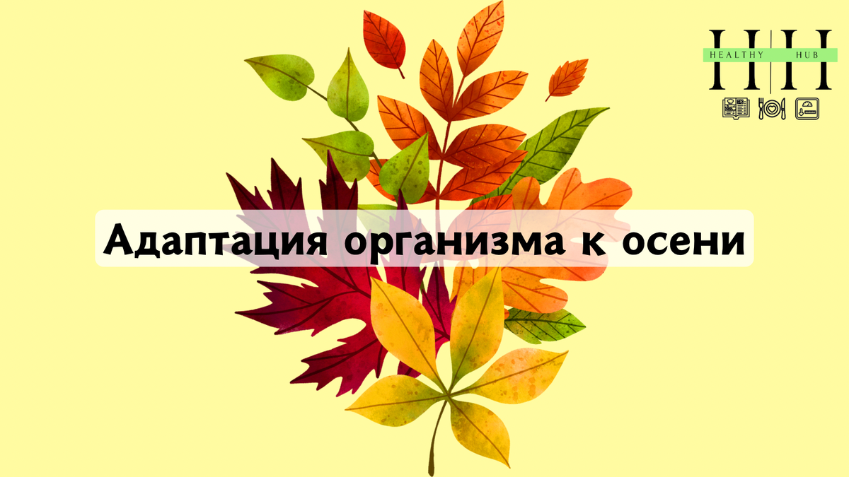 Как адаптировать организм к осени