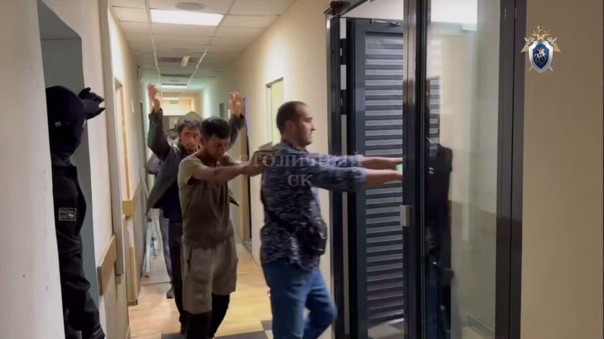     / Источник: © СК России. Кадр из видео