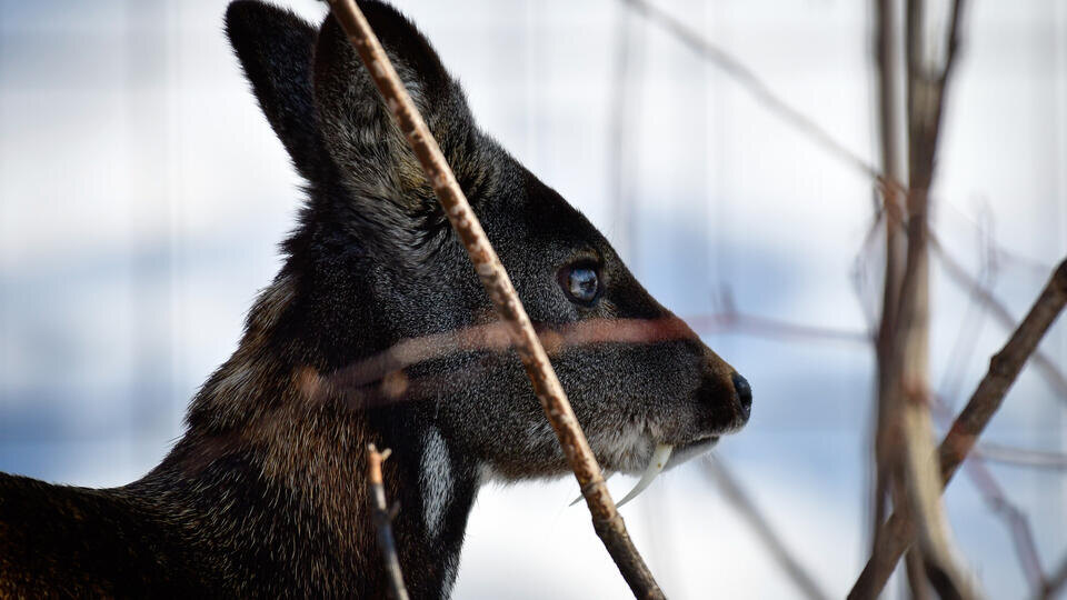 Фото: © Юрий Смитюк/ТАСС