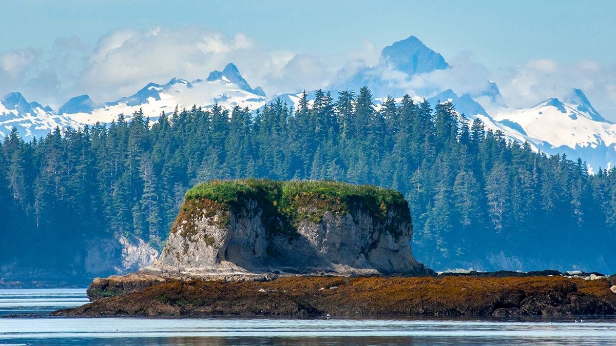    Фото: Shutterstock