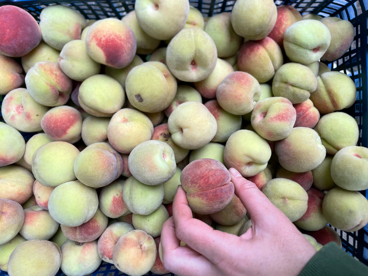 Мелочь, а приятно 