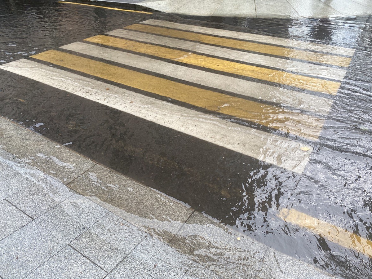    © Константин Долгановский