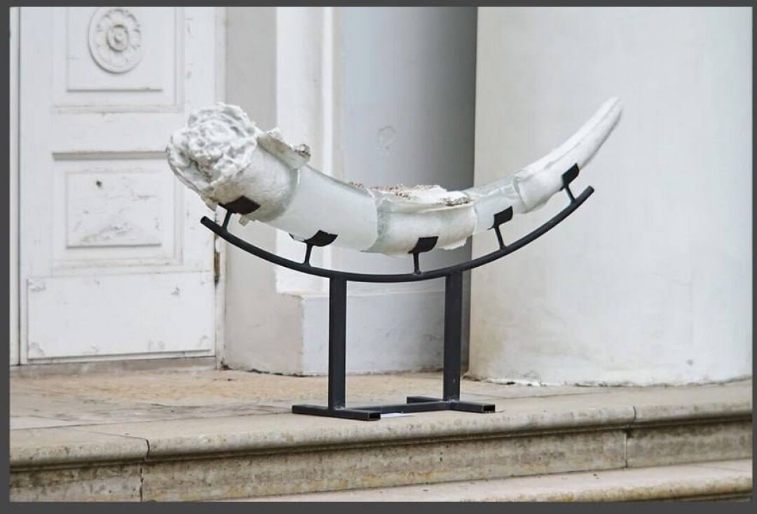    Nadulli, "Маммалиолит" Фото: Изображение предоставлено «Собака.ru» пресс-службой "Сегоднязавтра"