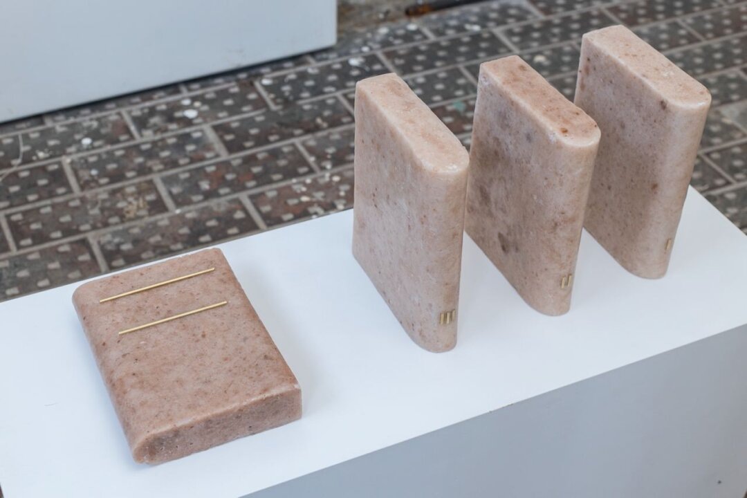    Алена Троицкая, "Безмолвные компаньоны" Фото: Изображение предоставлено «Собака.ru» пресс-службой "Сегоднязавтра"