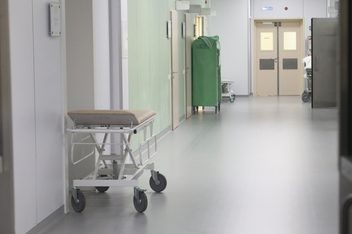 Фото: Александр Глуз / «Петербургский дневник»