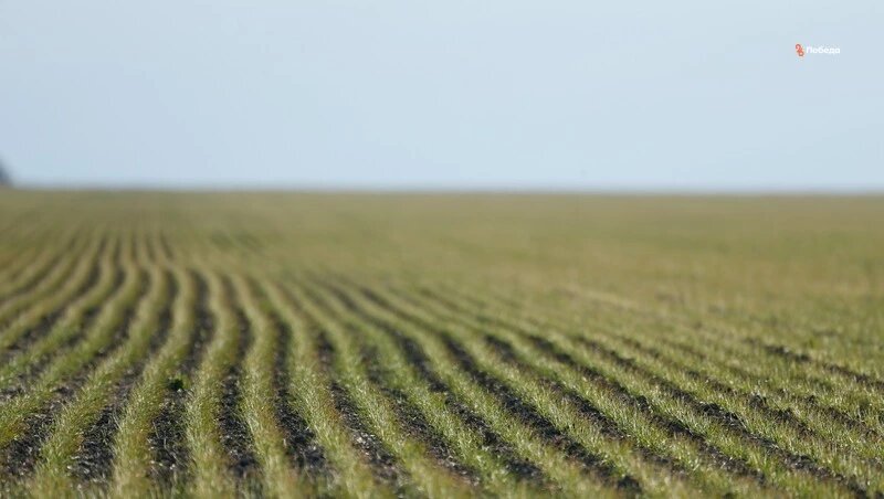      Фото: ИА «Победа26»