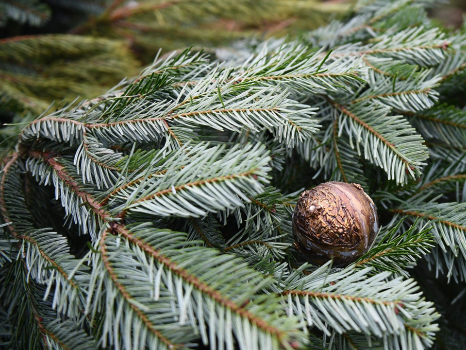    Фото: РИА Новости/Евгений Одиноков