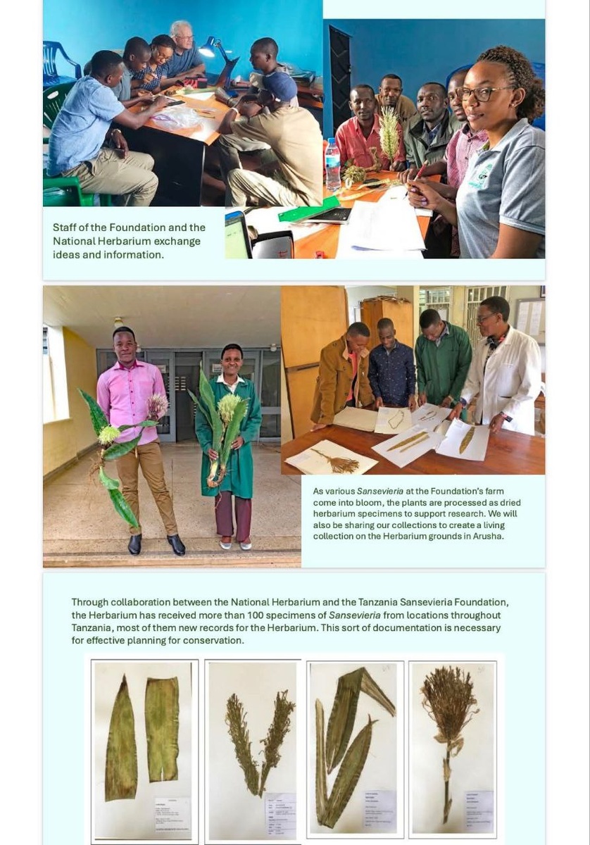 Барри Ингер в экспедиций по Танзании. Фото: из архива Барри Ингера