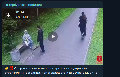    Фото: скриншот Telegram/Петербургская полиция