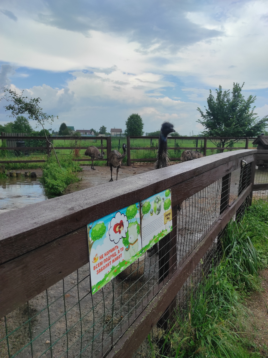 Личное фото автора